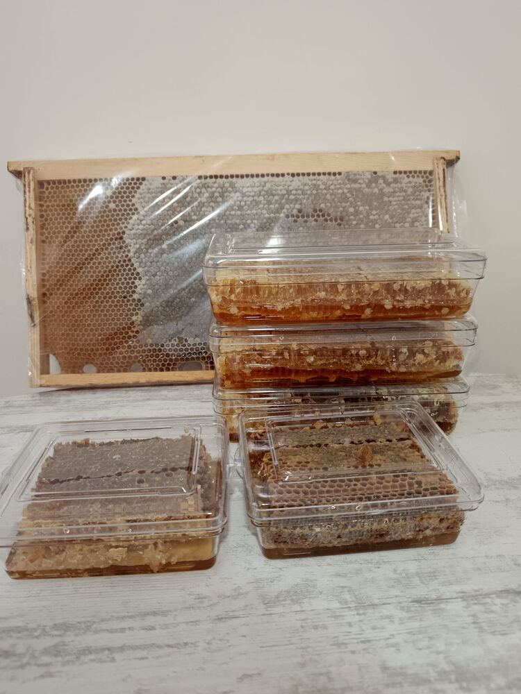 ALTIN KANATLAR 5 Lİ SÜPER SET