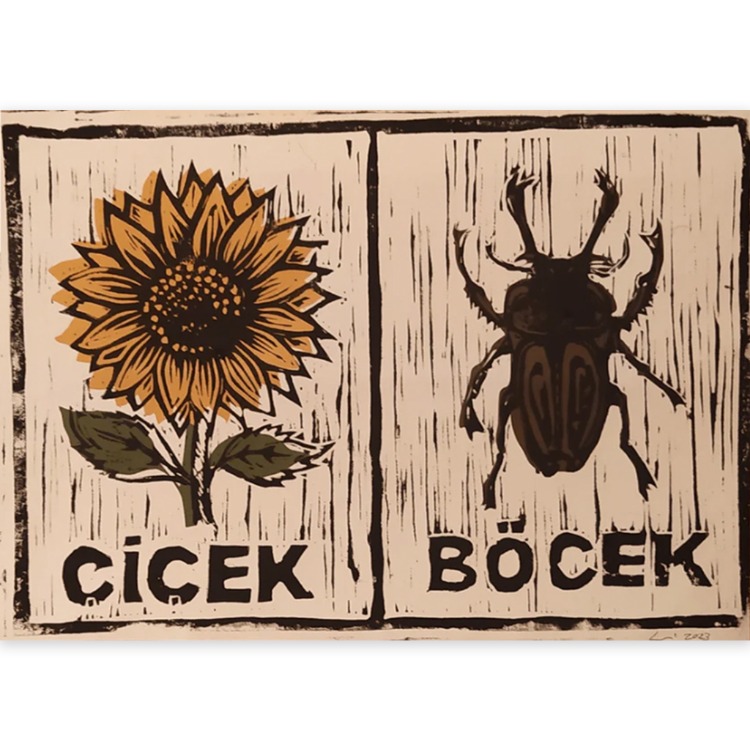 Çiçek Böçek
