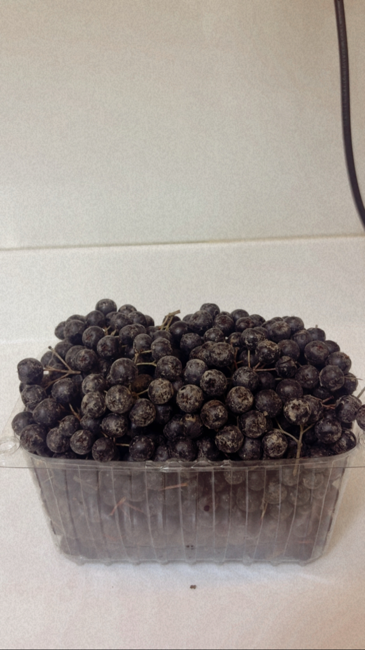 Taze Aronya 1 kg 