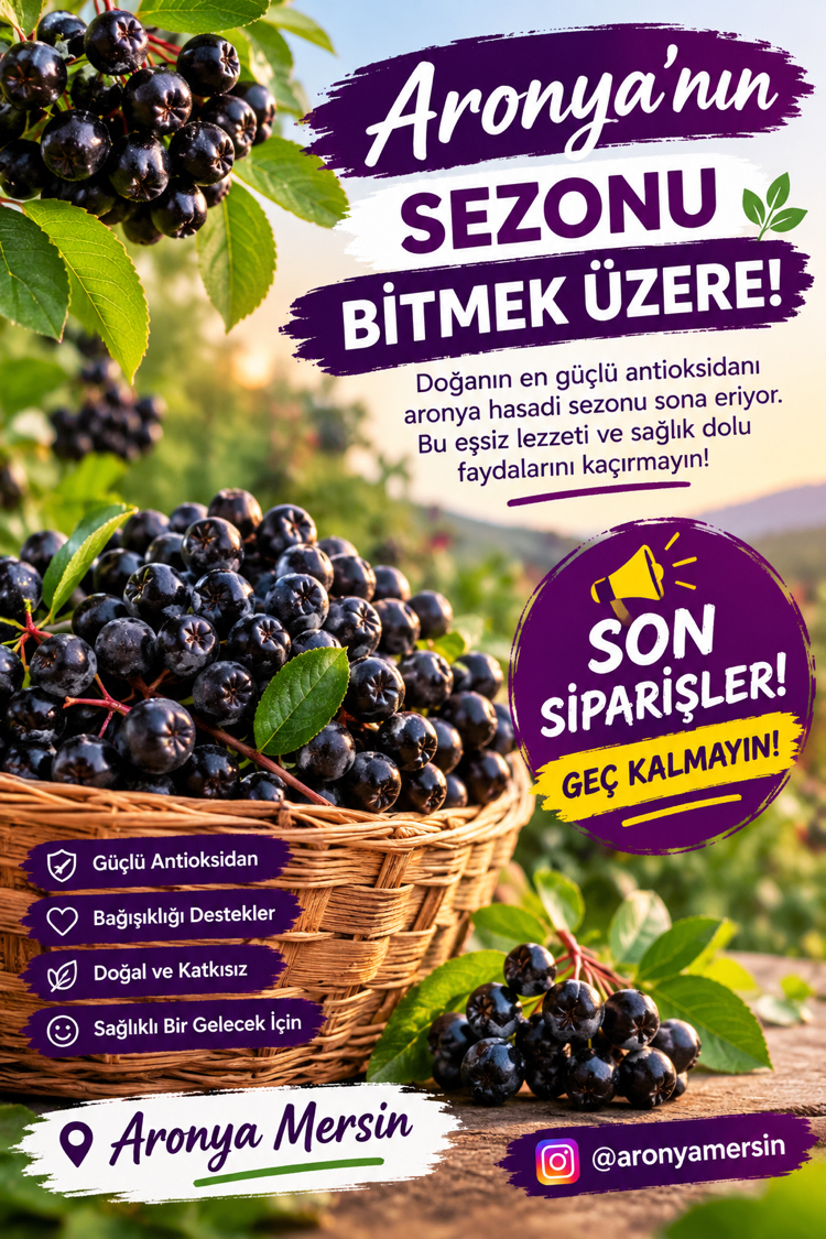 Taze Aronya 1 kg 