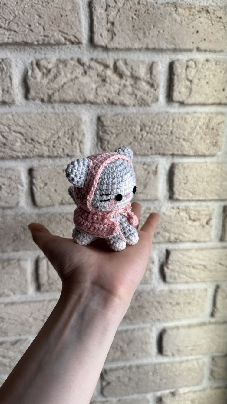 Pembe Pançolu Kedi