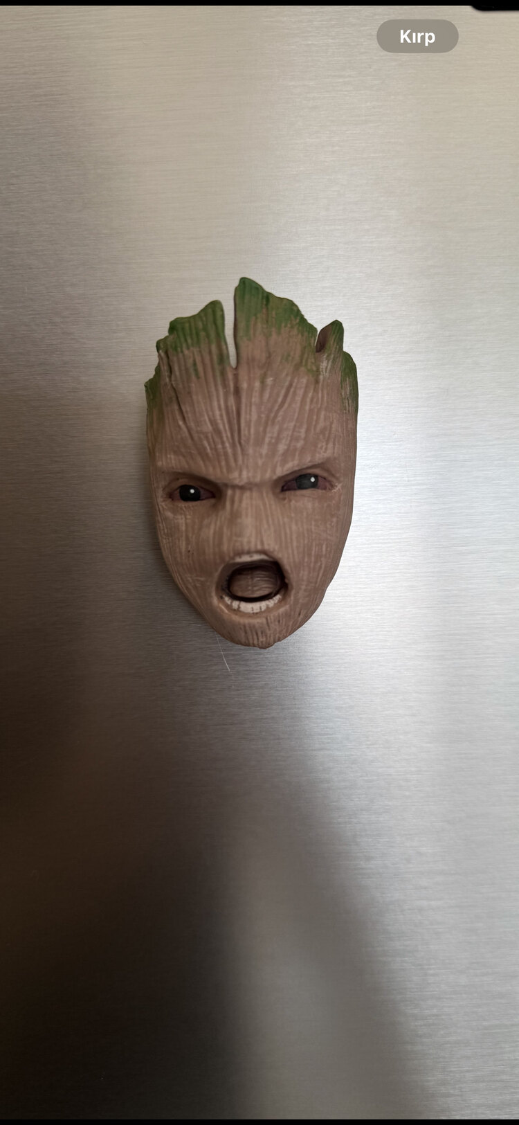 Groot 