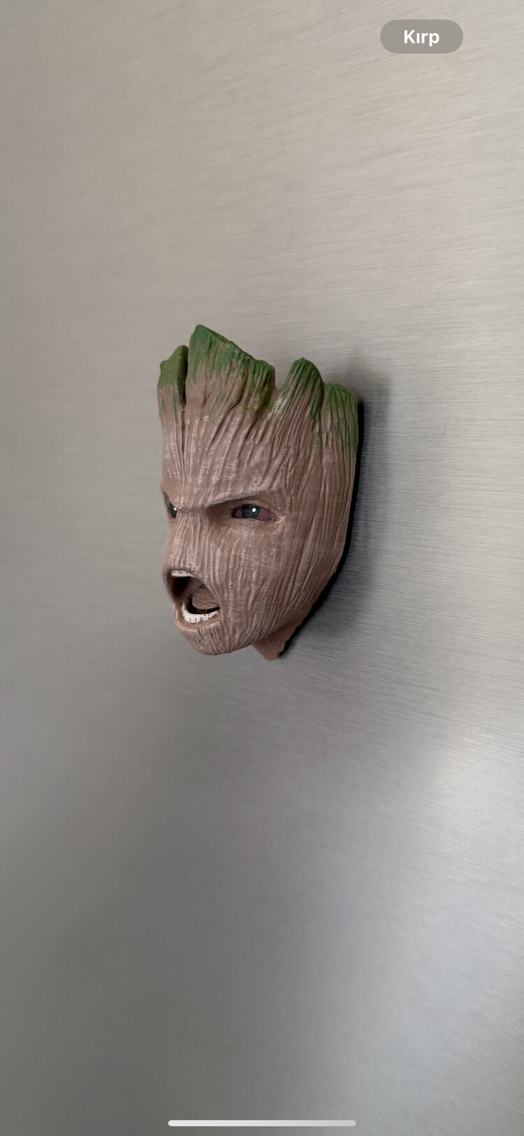 Groot 