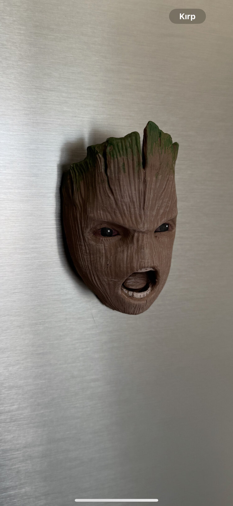 Groot 
