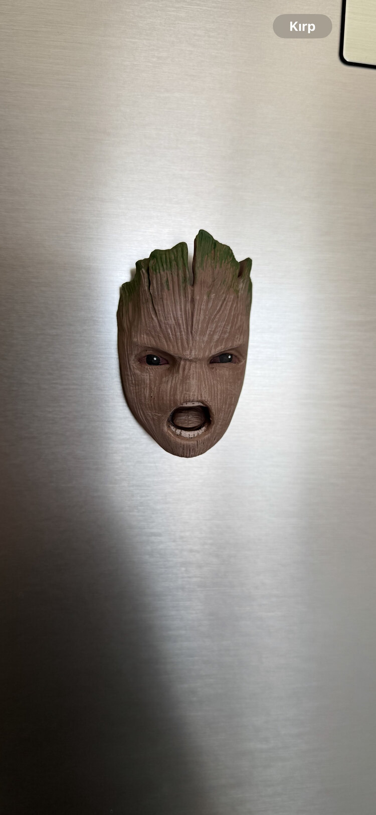 Groot 