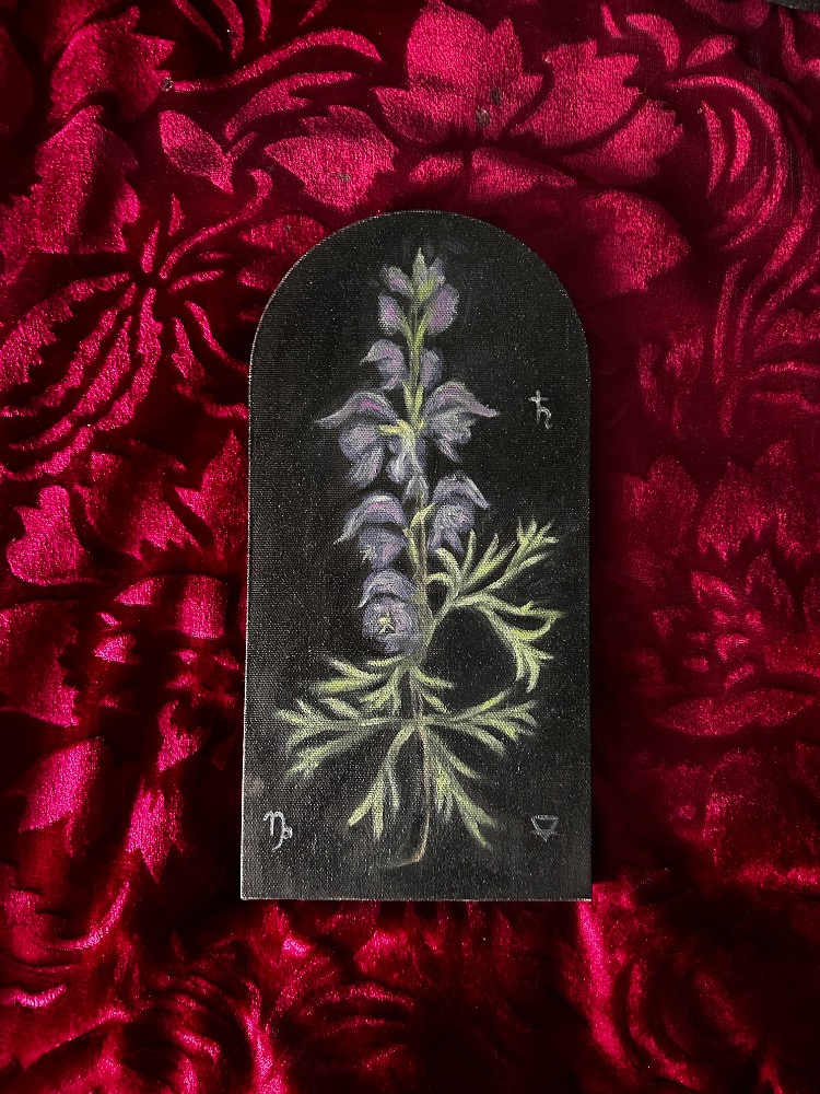 Wolfsbane Botanical Painting
