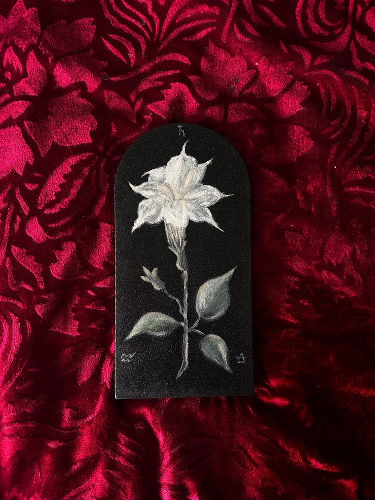 Datura Botanical Painting 