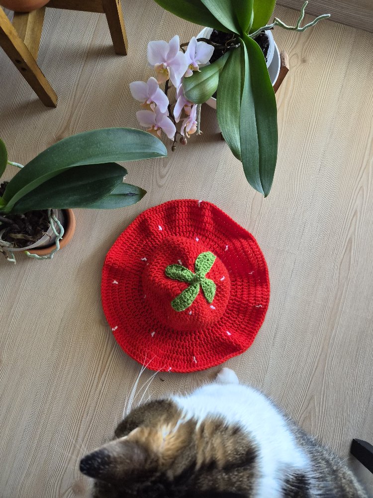 Çilek Örgü Bucket Şapka