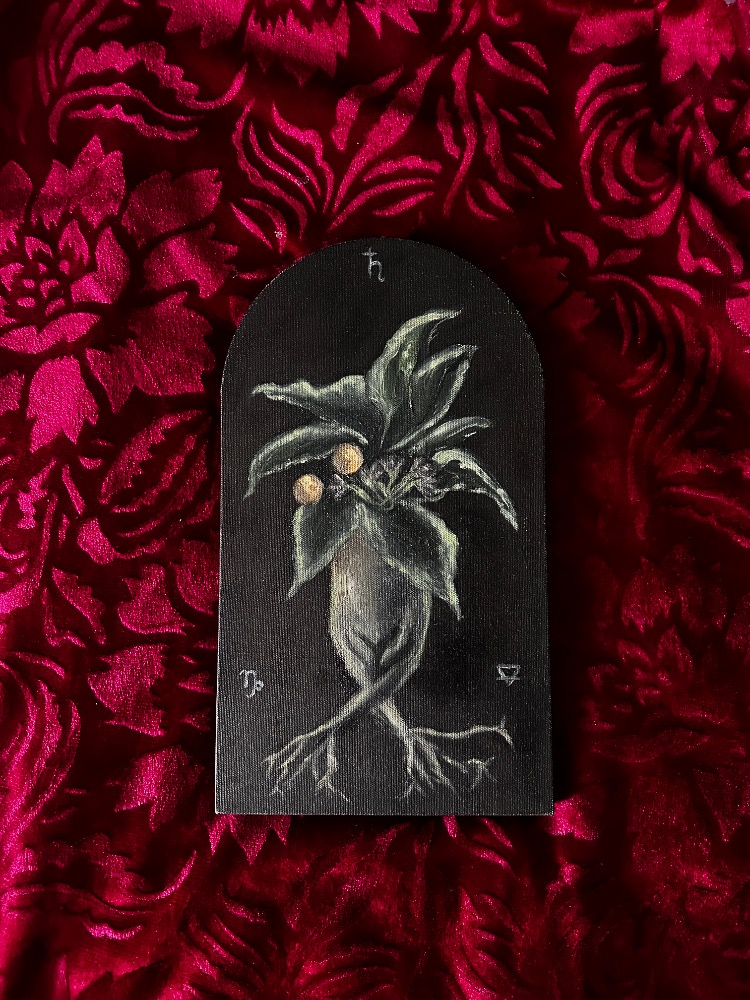 Mandrake Original Botanical Painting