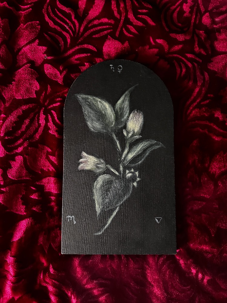 Belladonna Original Botanical Painting 