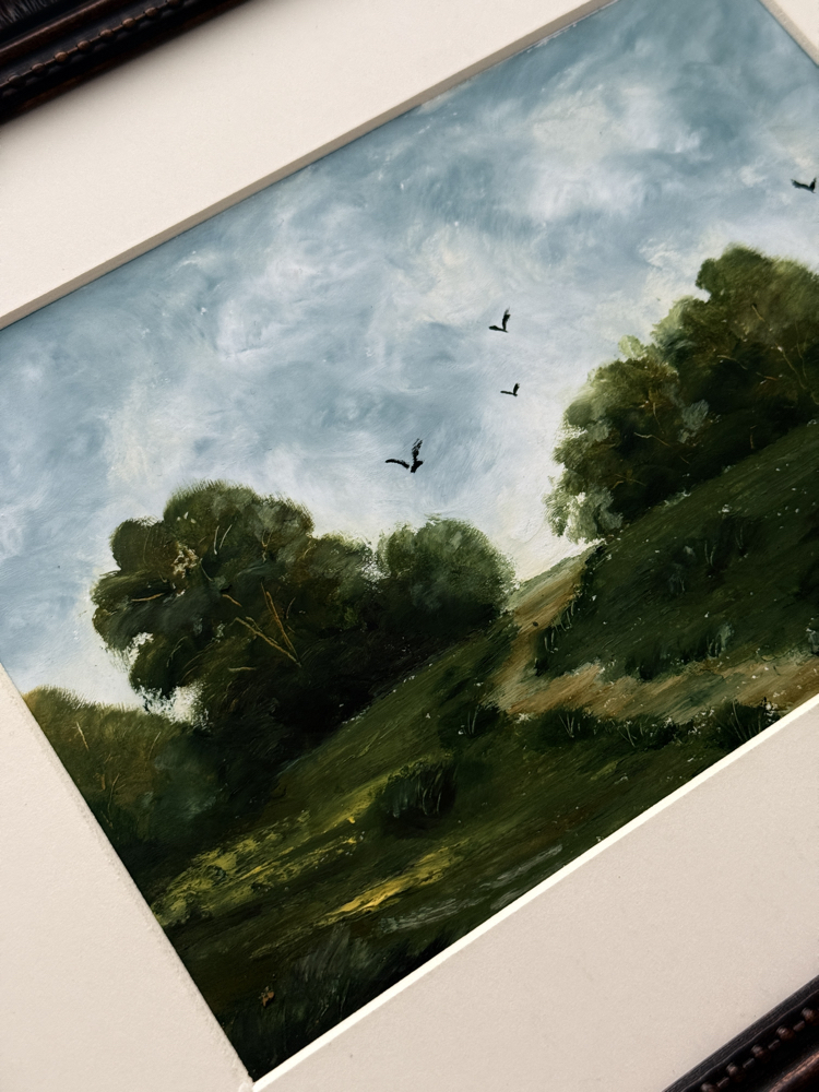Flying birds above a meadow 