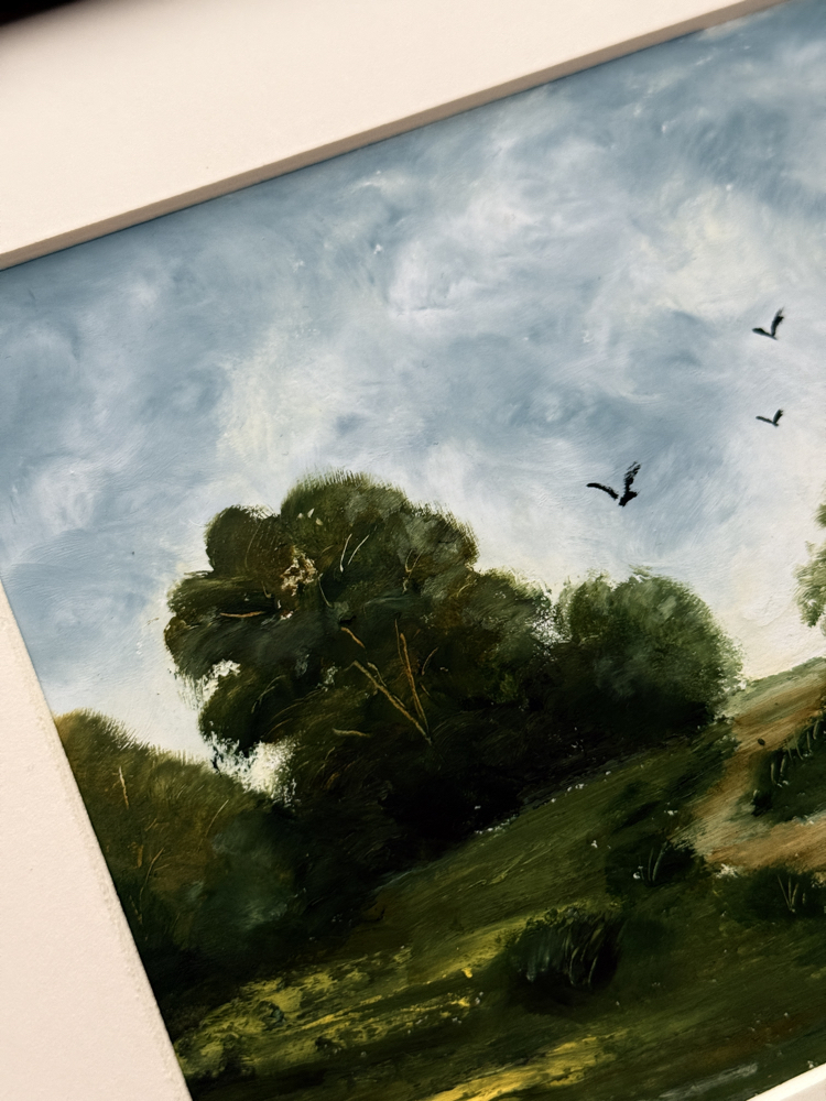 Flying birds above a meadow 