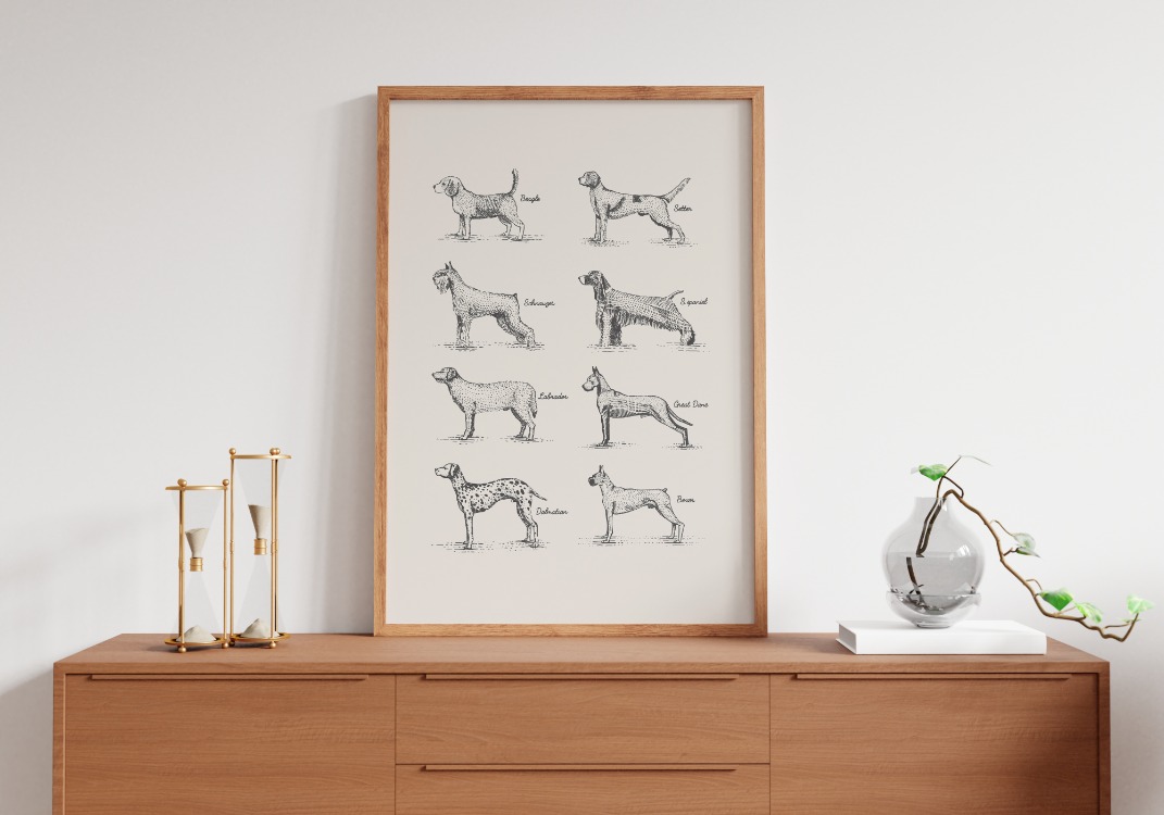 Vintage Köpek Irkları Poster