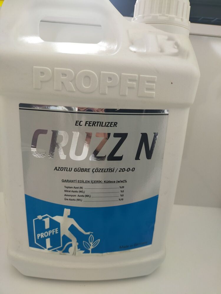 CRUZZ N 5/10/20 LT