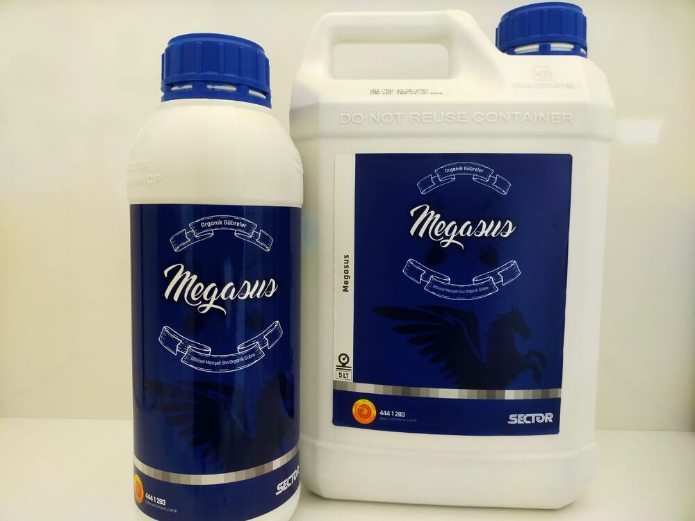 MEGASUS 1 LT 