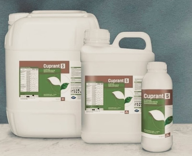 CUPRANT 5 1LT 