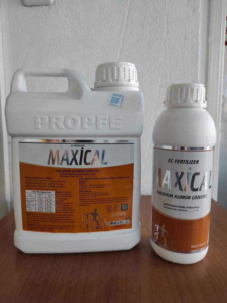 MAXICAL 1 LT