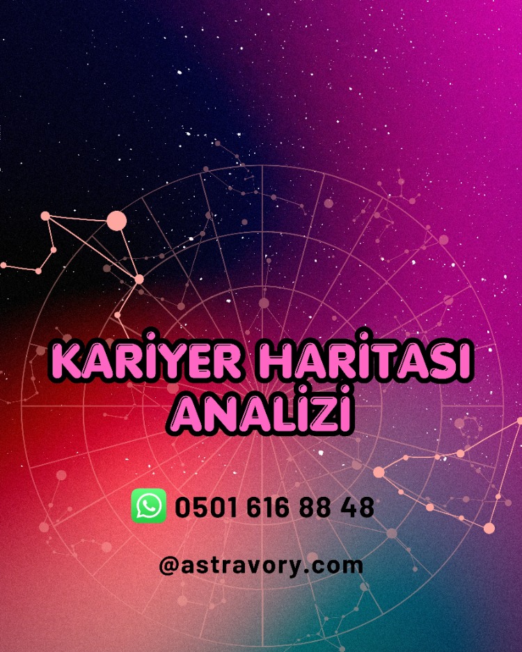 Kariyer Haritası Analizi