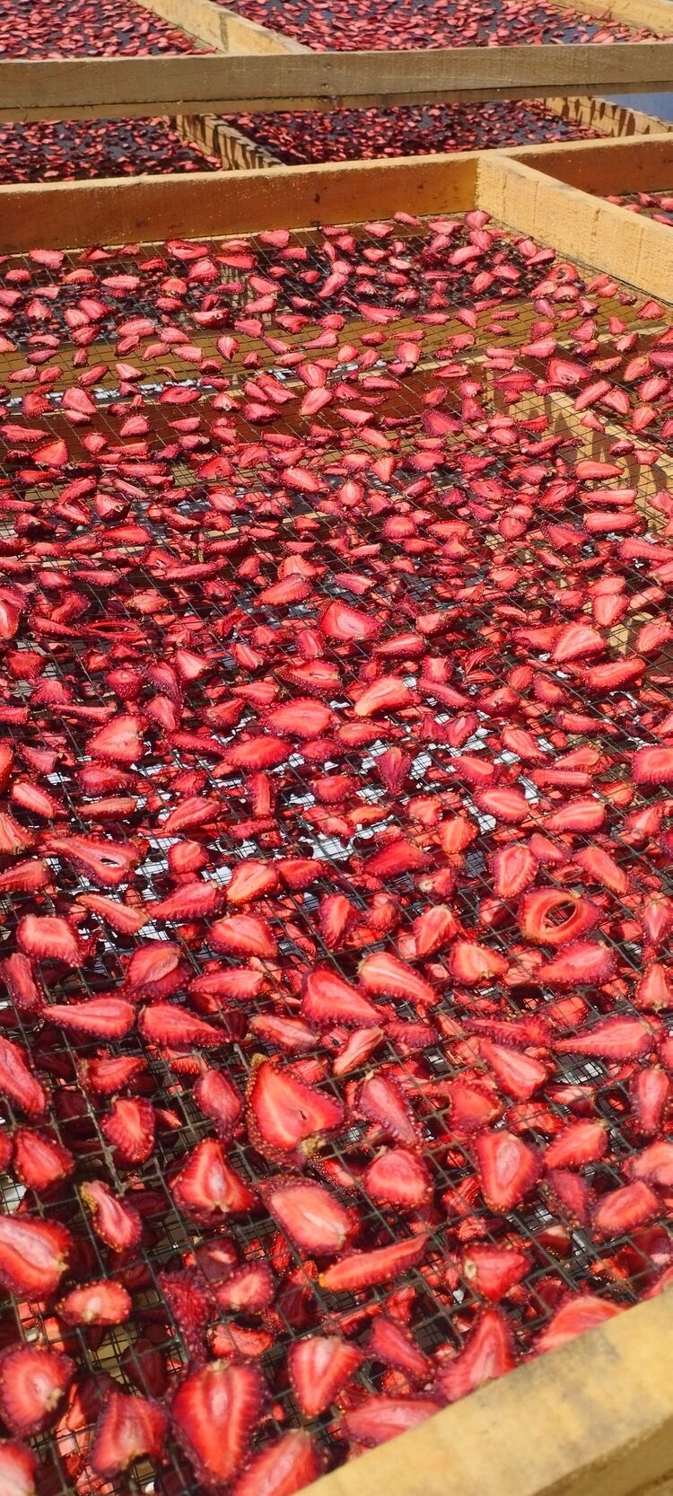 Çilek cipsi 100 gr