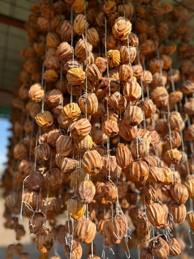Trabzon hurması kurusu 500 gr