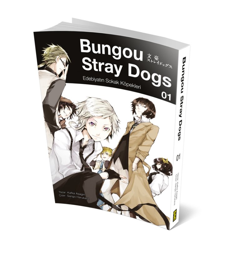 Bungou Stray Dogs