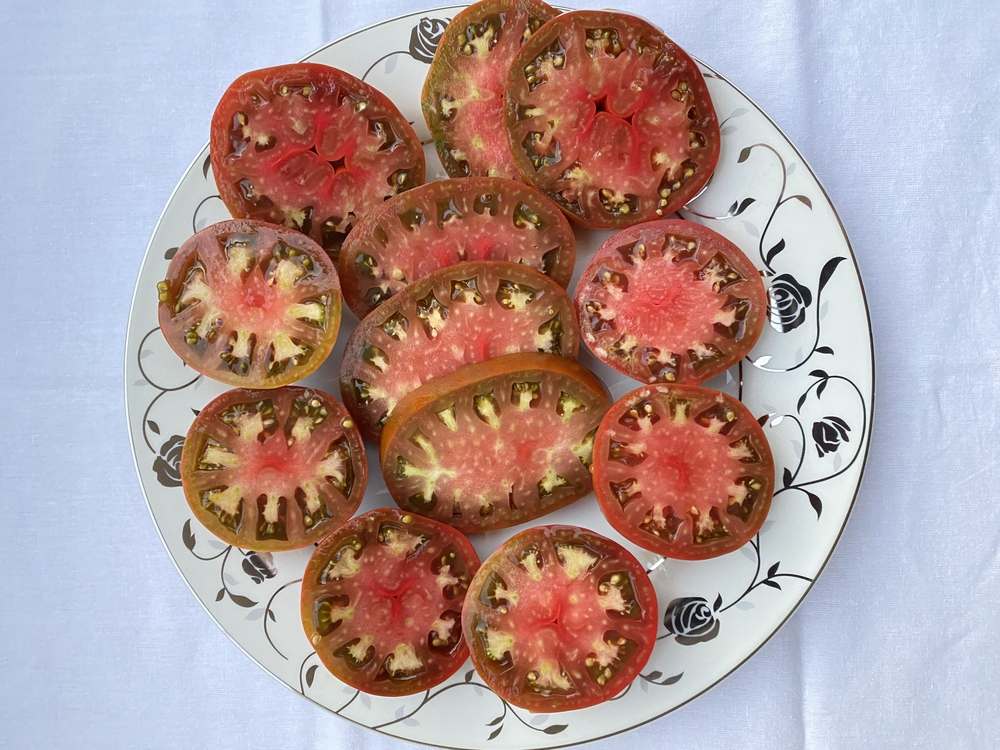 Jappenese Traffle Tomato 