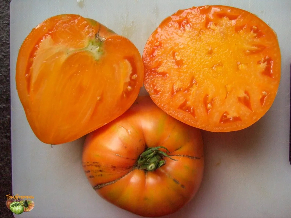 Orange Oxheart Tomato