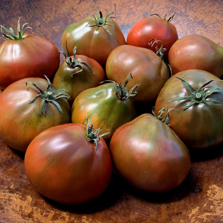 Jappenese Traffle Tomato 