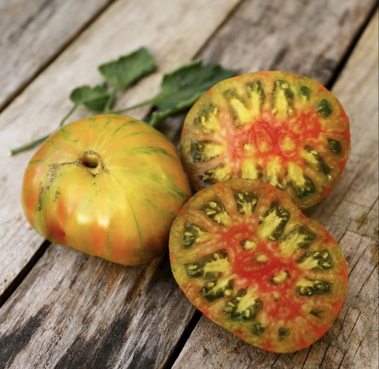 Berkeley Tie Dye Tomato
