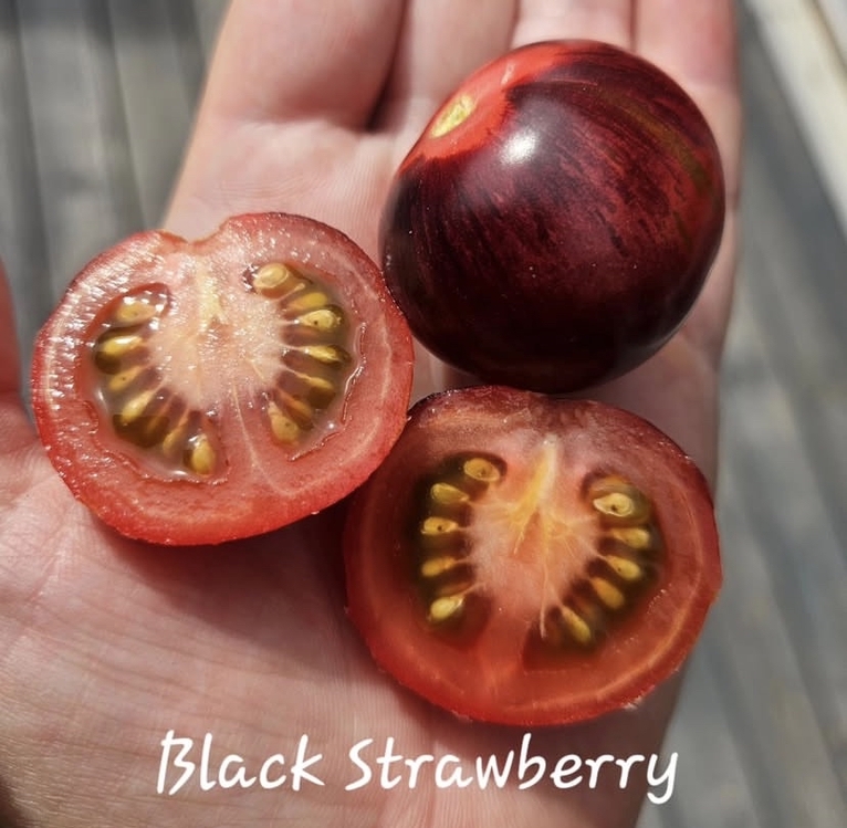 Black Strawberry Tomato Tohum Paketi
