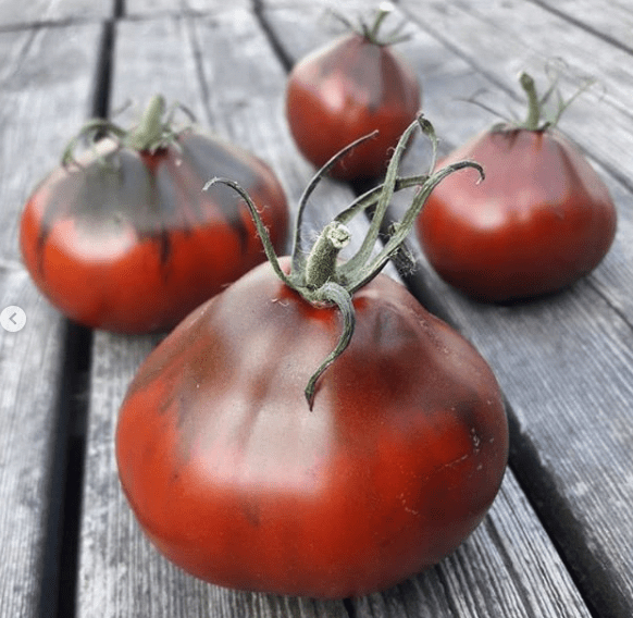 Jappenese Traffle Tomato 
