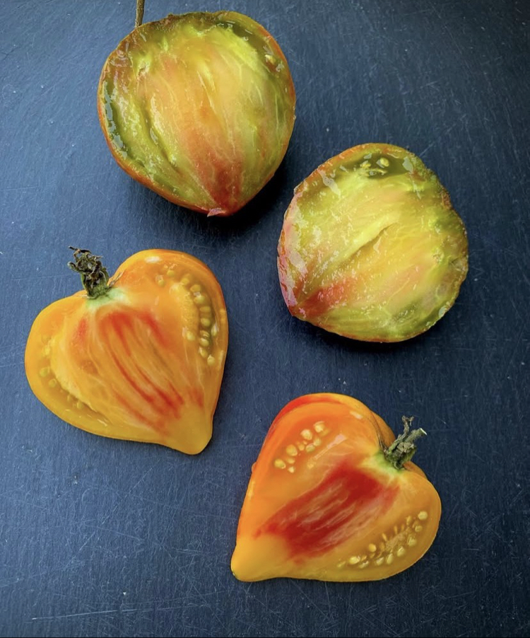 Orange Oxheart Tomato