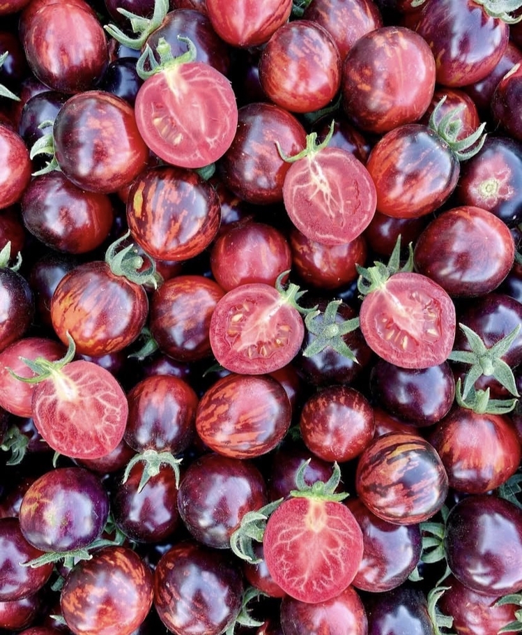 Black Strawberry Tomato Tohum Paketi