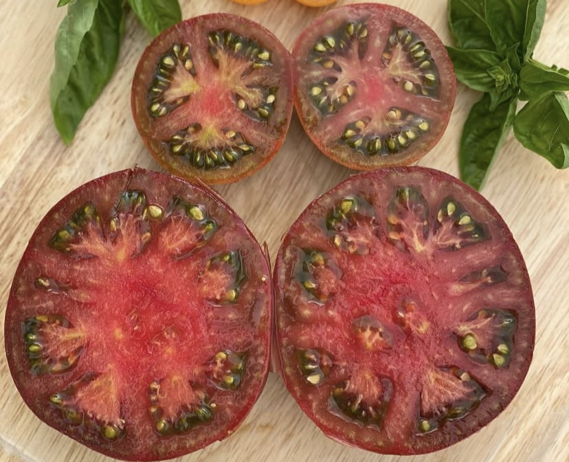Black Krım Tomato