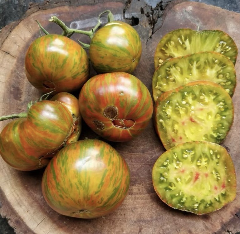 Berkeley Tie Dye Tomato