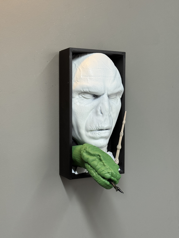 Voldemort Book Nook