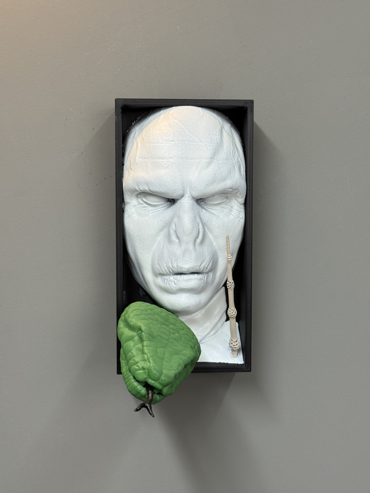 Voldemort Book Nook