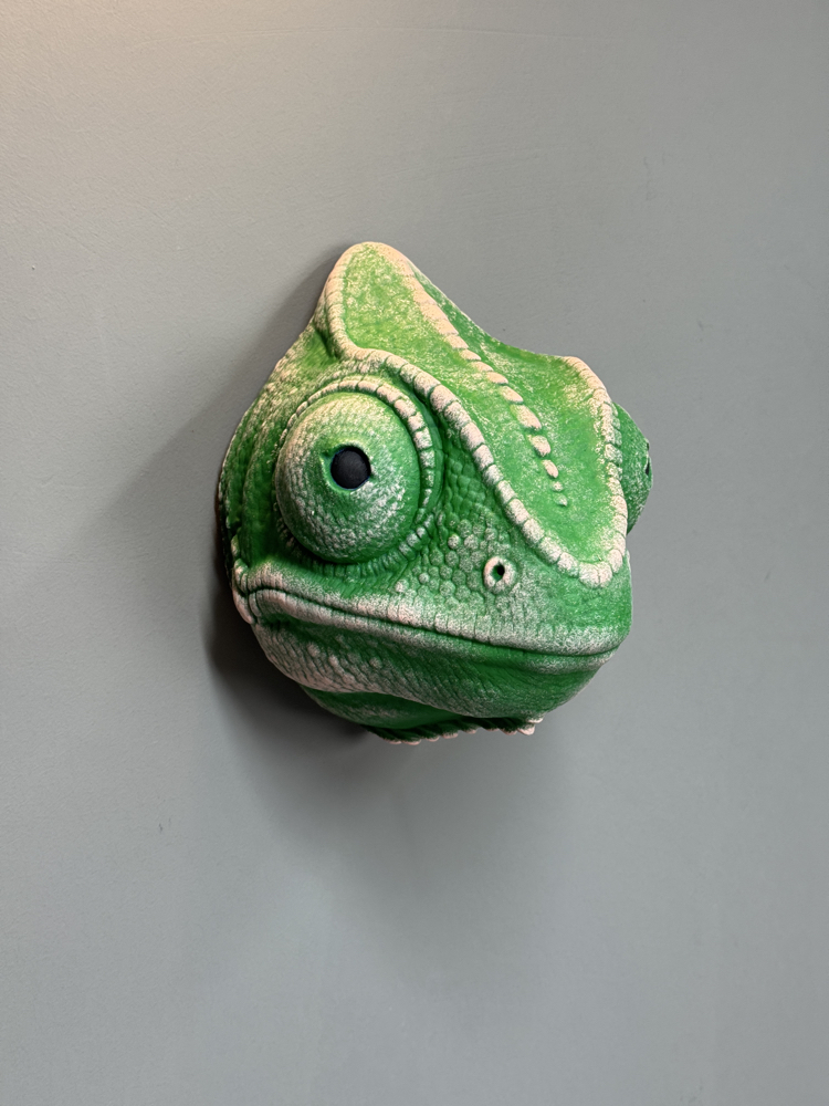 Chameleon Wall Mask