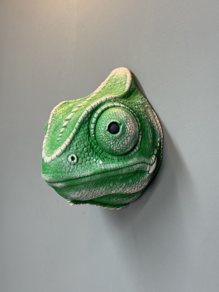 Chameleon Wall Mask