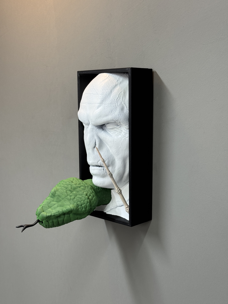 Voldemort Book Nook