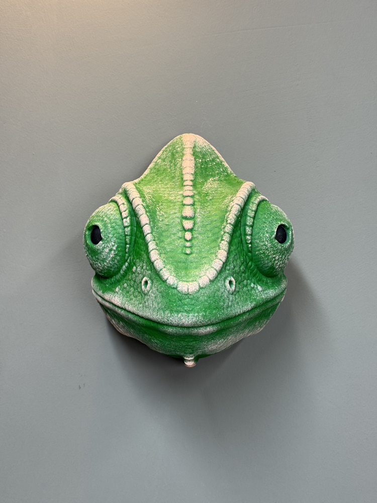 Chameleon Wall Mask