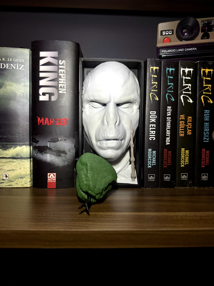 Voldemort Book Nook