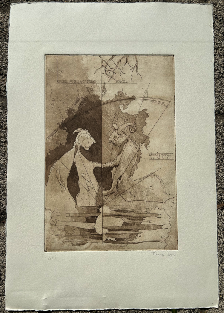 Untitled - Tomris İrem Gündoğdu