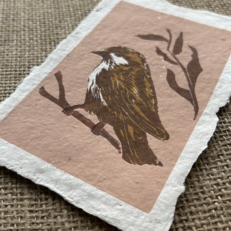 Sparrow