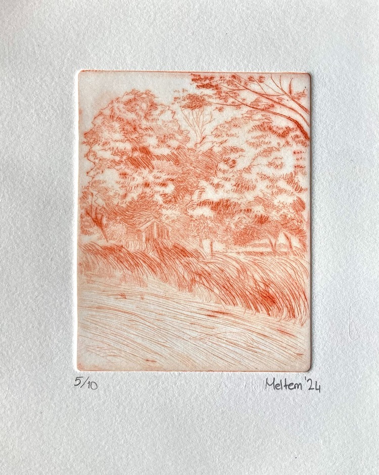 Kırmızı - Meltem Gündoğdu