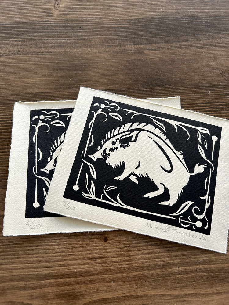 Boar