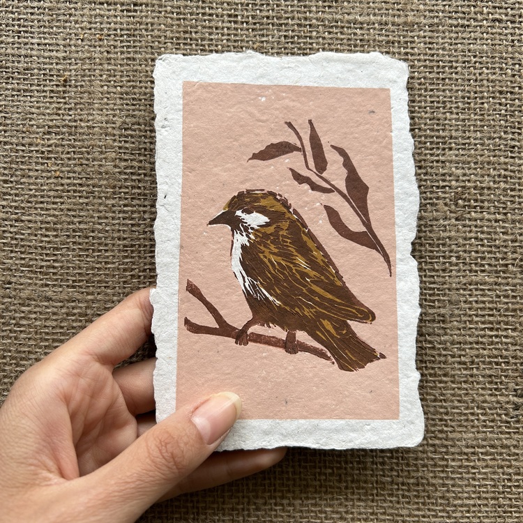 Sparrow