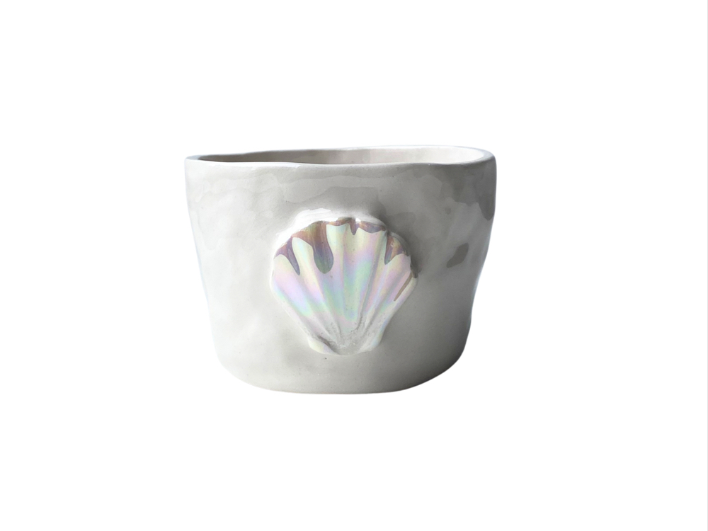 “shell” bardak