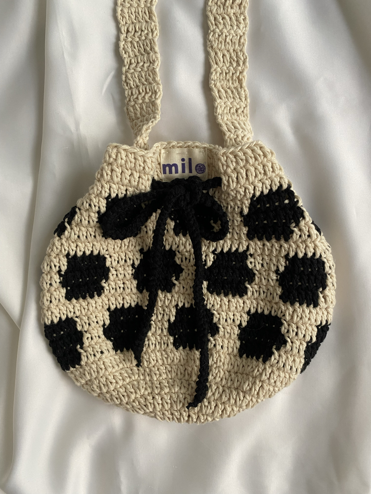 Pouch Bag