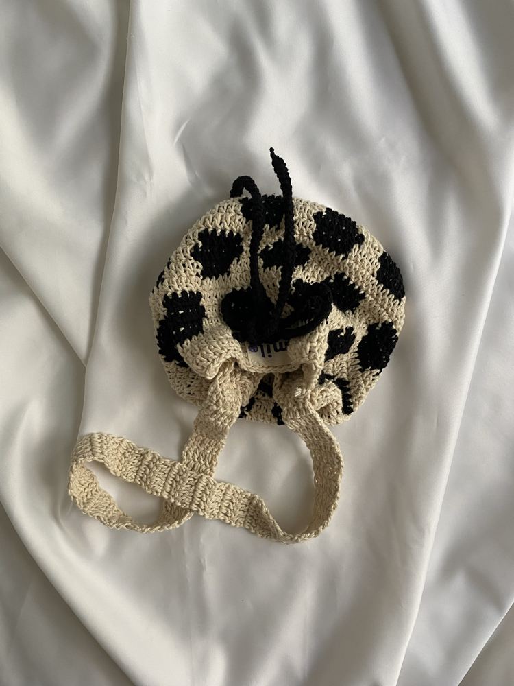 Pouch Bag